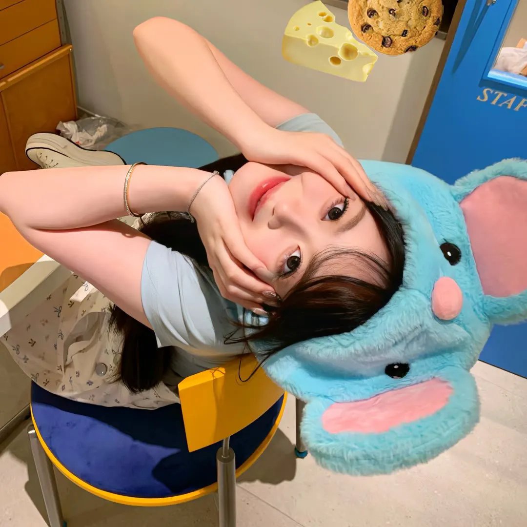 弊家伙,苏菲唔见咗!