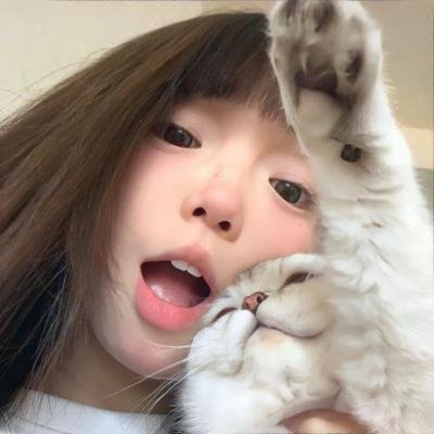 Π情歌